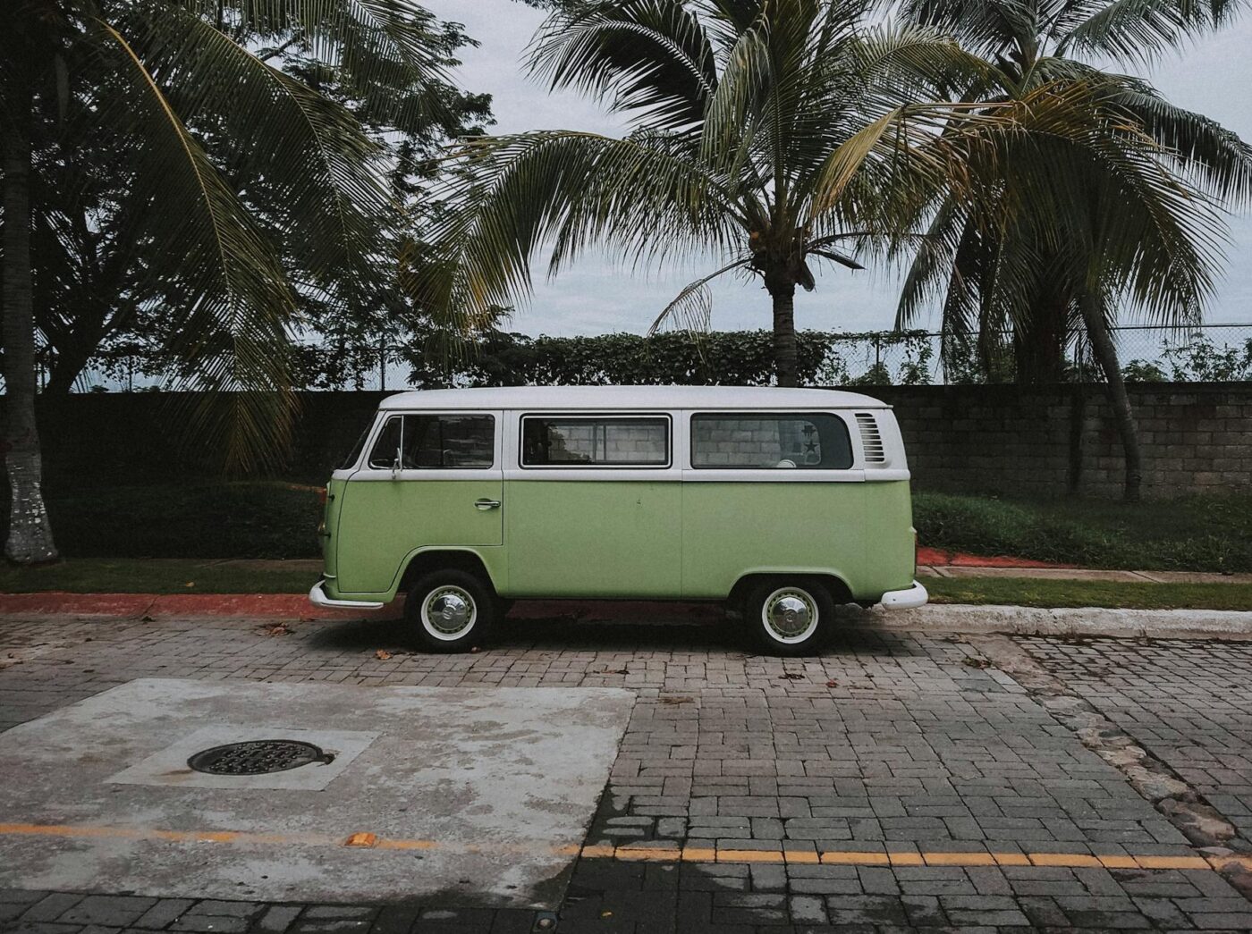 green volkswagen transporter van parked under coconut trees